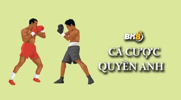 Cá Cược quyền anh là gì?