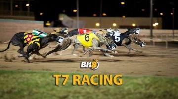 T7 Racing là gì?