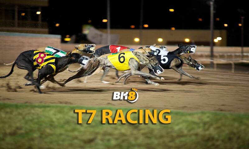 T7 Racing là gì?