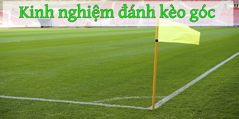 Kinh nghiệm đánh kèo phạt góc cực chuẩn