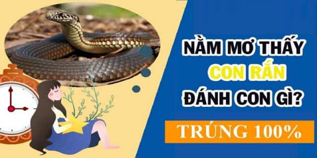 Nằm mơ thấy rắn hổ mang đánh con gì? Mơ báo hiệu điều gì?